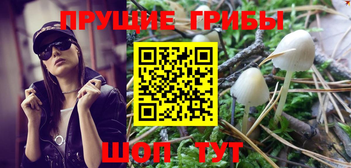 Галлюциногенные грибы Psilocybe  магазин  наркотиков  Норильск  Вход с VPN 
