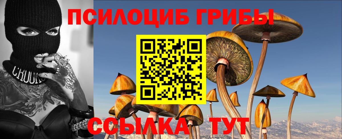 Галлюциногенные грибы GOLDEN TEACHER Норильск